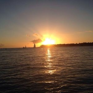 Meet your Posher, Patti